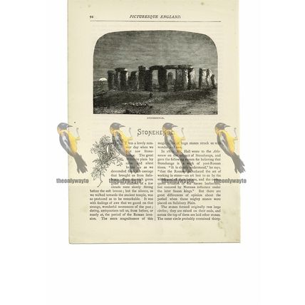 Stonehenge, Wiltshire, Book Illustration (Print), 1891