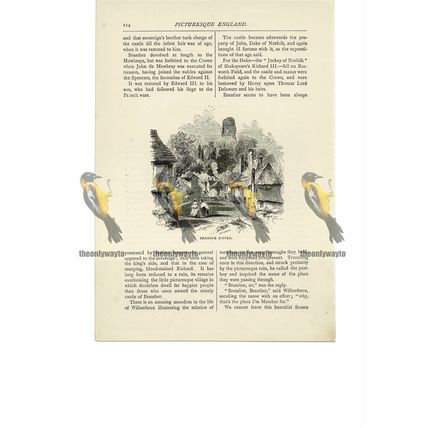 Bramber Castle, Sussex, Book Illustration (Print), 1891