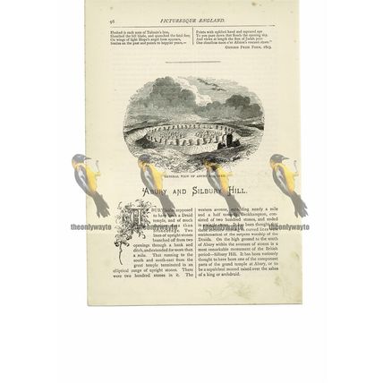 Adbury (Avebury) Circle, Restored, Wiltshire, Book Illustration (Print), 1891