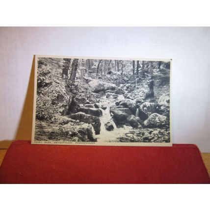 FAIRY GLEN, DWYGYFYLCHI, PENMAENMAWR, WALES unused vintage postcard R C Evans =