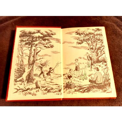 The Happy Hollister's And The Secret Fort By Jerry West W/Dustjacket 1955