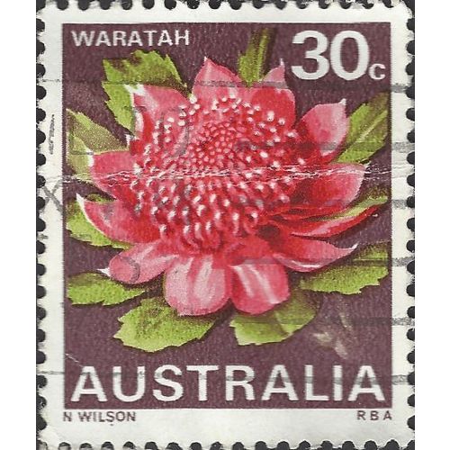 AUSTRALIA, FLOWER, Waratah, violet-brown 1968, 30c, #4