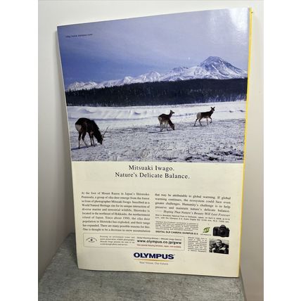 National Geographic Magazine July 2008 Who Murdered Mountain GorillasCollectable