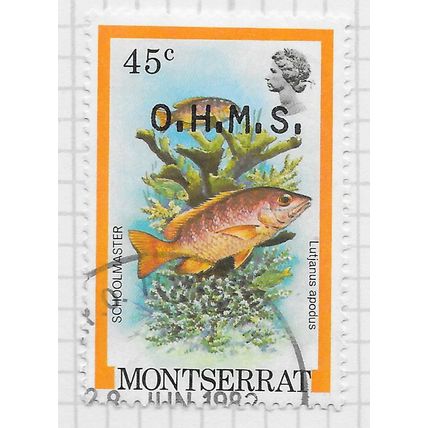 MONTSERRAT 1981 OFFICIAL FISH OVERPRINTED OHMS SCHOOLMASTER SCHOOL MASTER USED