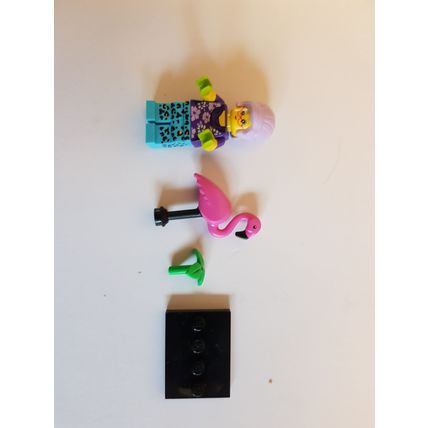 LEGO Minifigure Series 19 - Gardener