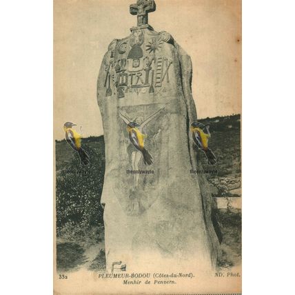 Pleumeur-Bodou, Menhir De Penvern, France, 26 Levy, Postcard, 1920s