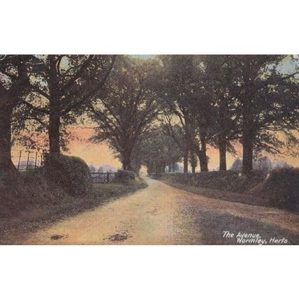 Wormley The Avenue Hertfordshire Antique Postcard