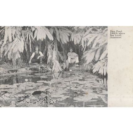 Explorers Resting at Dew Pond Saint Helena Ascension Island Old Postcard