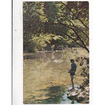 Champion Cutty's Campground PA USA Postcard posted1978 3p Tax to pay creased