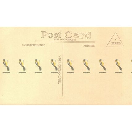 Castle Rock, Cheddar, RP Viner Bromo Card, Postcard, 1930s