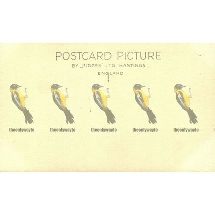 Newquay, Hollywell, Judges Cornwall, RP Postcard