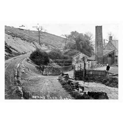 pt5609 - Batley , Benny Park Wood , Yorkshire - print 6x4