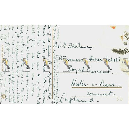 Distein, Cirsium Spinosissimum Heidekraut, Erica carnea, Photoglos Postcard 1929