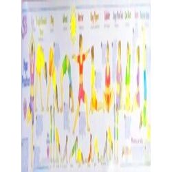 Yoga Practice Wall Chart