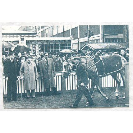 c.1980s PC Churchill at Hurst Park Races, 1951