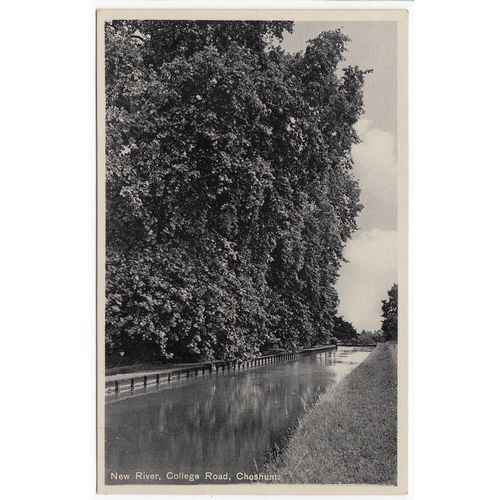 New River College Road Cheshunt Postcard Hertfordshire