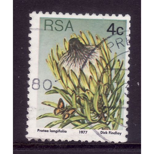 SOUTH AFRICA 1977 SUCCULENTS 4c P LONGIFOLIA SG 417 FINE USED#