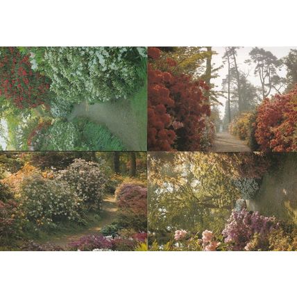 Exbury Gardens Hampshire Floral Country Paths 4x Postcard s