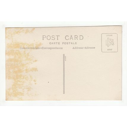 Large Group of Boy Scouts Postcard SC21