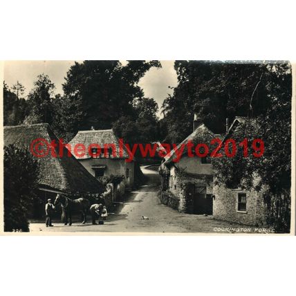 Cockington Forge, Horse Child & Dog, RP Postcard 1953