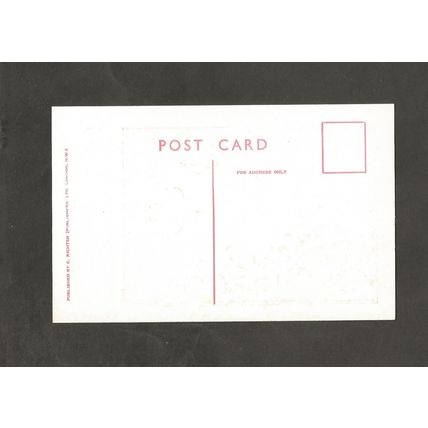 C Richter Cards Saucy Comic Postcard 11999 Soft Thing