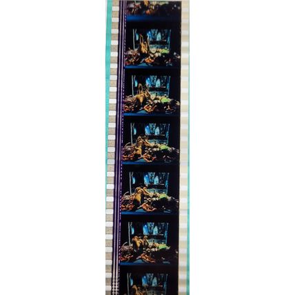 Pk DAU - B - MIX - F 0147q . - 1 STRIP OF 5 - 35MM FILM CELLS. ( )