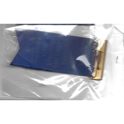 1955 Nena Medal Show Ribbon Providence RI