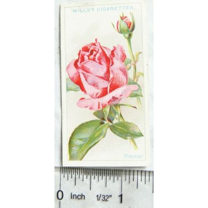 1926 Wills Roses No. 46 Premier
