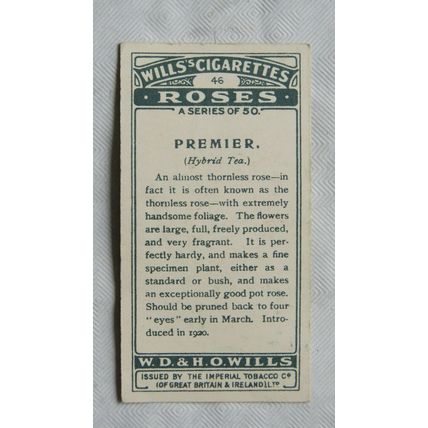 1926 Wills Roses No. 46 Premier