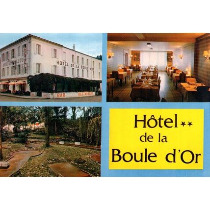 Hotel De La Boule D'Or Saint Foy La Grange French Postcard