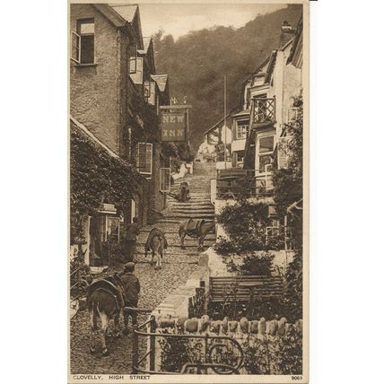 PC21611 Clovelly. High Street. Photochrom. No 9069