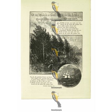 Winds Of God Bless The Lord, Illustrated Poetry, R Wilton, Book Illustration