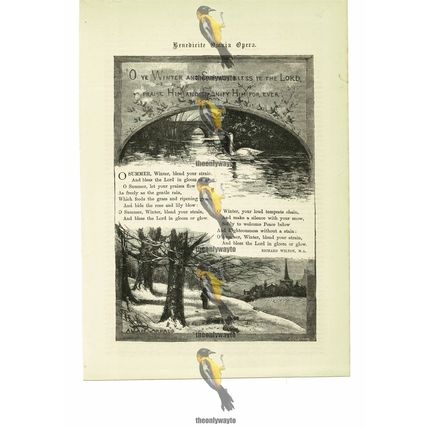 Winter & Summer Bless The Lord, Illustrated Poetry, R Wilton, Book Illustration