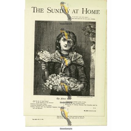 Flower Girl, Illustrated Poetry, M. R. , Book Illustration (Print), 1885