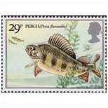 GB 1983 British River Fishes 29p Eurasian Perch Unmounted Mint NHM SG 1210 stamp