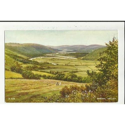 A539 Wales RHEIDOL VALLEY Valentine "Art Colour" Postcard