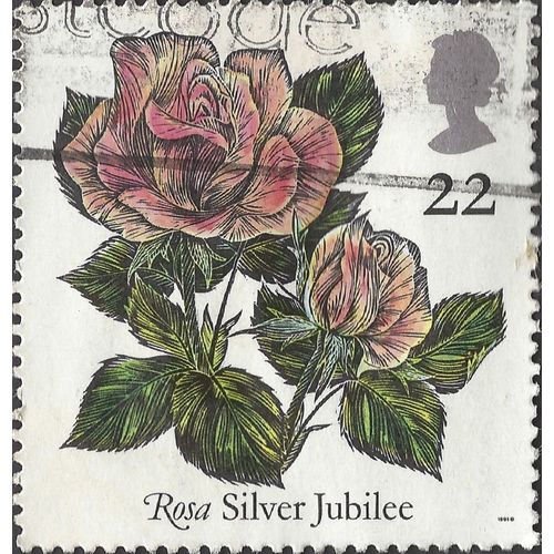 GB, FLOWERS, Silver Jubilee Rose, white 1991, 22p, #2