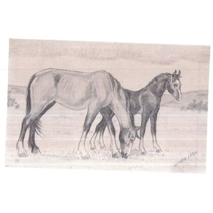 NEW FOREST PONIES, by Victoria Leigh unused vintage postcard repro picture.. =