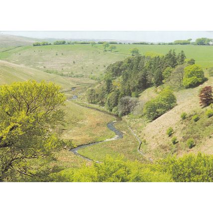 Cornham Brake Exmoor Postcard Unused VGC