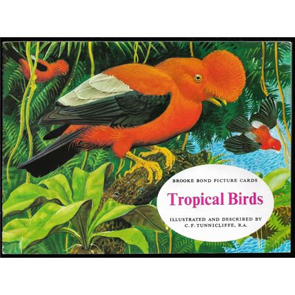 Brooke Bond Tea Card Album: 1974 Tropical Birds, Complete With All Cards