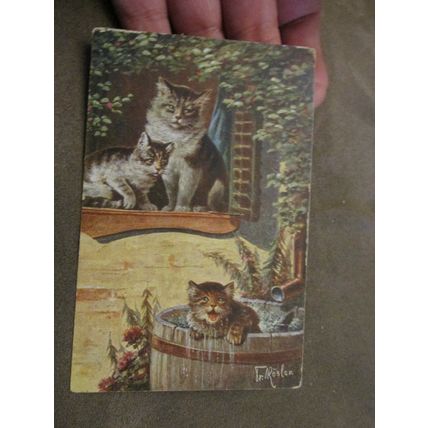 1904 fr H.M & Co Postcard - Cats / Kittens - Artist Rosler