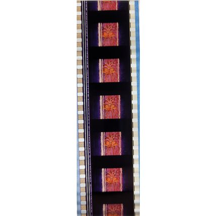 Pokemon . Pk TSR - a036J . 1 STRIP OF 5 - 35MM FILM CELLS