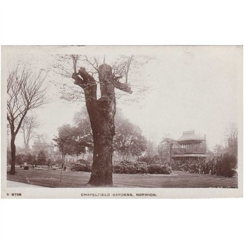 Chapelfield Gardens Norwich Norfolk Postcard (NFK4400)