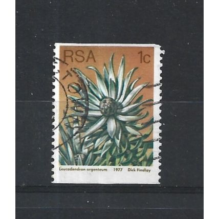 SouthAfrica.SG431 1c Leucadendron Argenteum.Fine Used.Sep25p