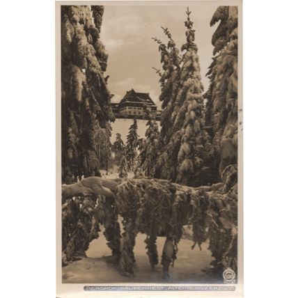 Ak Berghof Raupennest Altenberg Erzgebirge Austria RPC Postcard