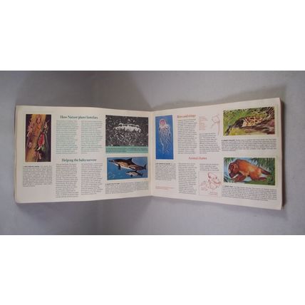 Brooke Bond Tea Card Album: 1976 Wonders of Wildlife, With All Cards