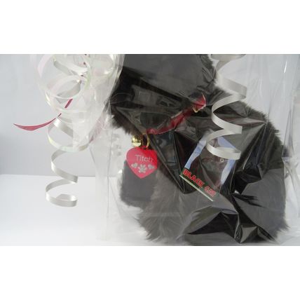 Black Cat hand made cuddly 12" Toy Cat With Collar And Engraved Tag Gift Wrapped