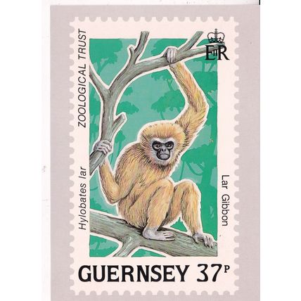 Guernsey 1989 Lar Gibbon 37p Stamp Card unused VGC