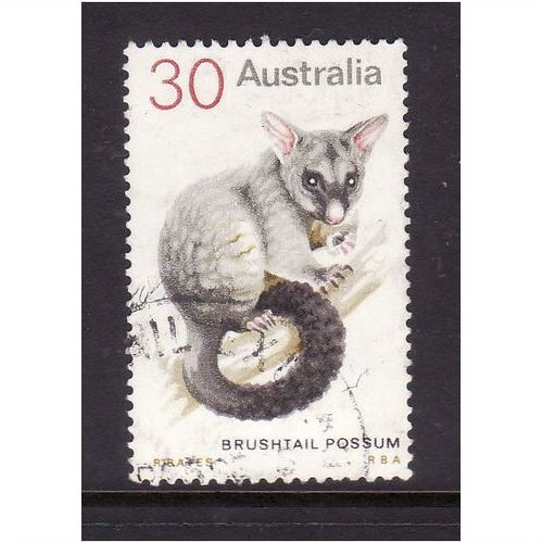 AUSTRALIA 1974 SG 563 30c BUSH TAILED POSSUM FINE USED#3