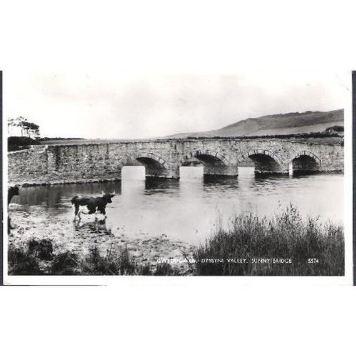 Gwyddgwyn, Tywyn, Gwynedd - Dyssyni Valley Sunny Bridge - real photo card